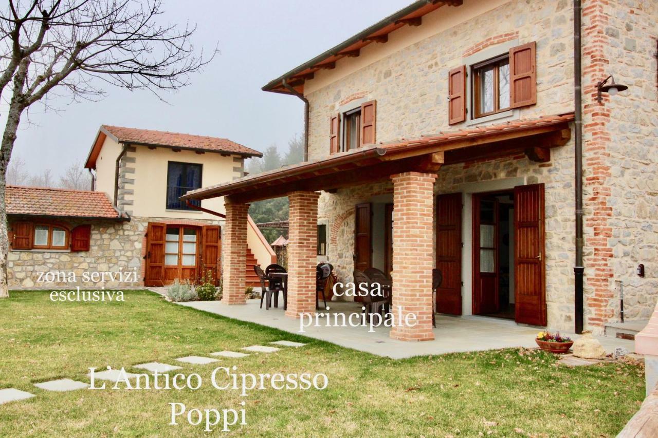 L'Antico Cipresso Villa Poppi Exterior photo
